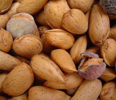 Economía.- Los exportadores de almendra muestran su «satisfacción» tras el reciente acuerdo entre España y China