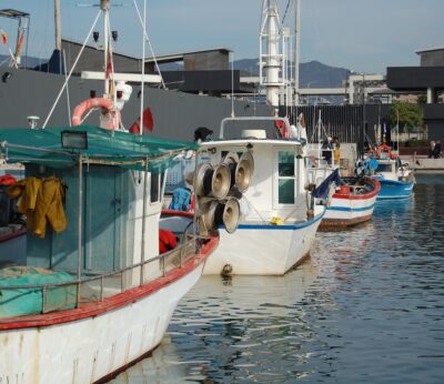 Economía/Pesca.- El BOE publica los repartos de la cuota de rape por intercambios con Bélgica