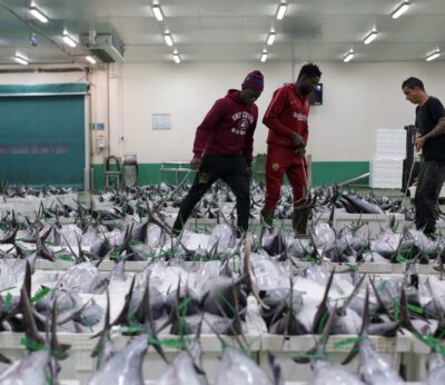 Economía/Pesca.- La UE defiende gestión plurianual con rebaja de capturas en bonito y otros túnidos del Índico