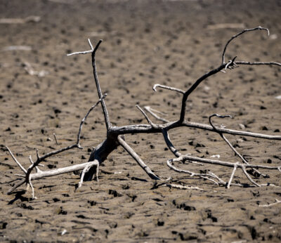 Economía.- El Gobierno convoca para el próximo 19 de abril la Mesa de la Sequía para evaluar su incidencia en el campo