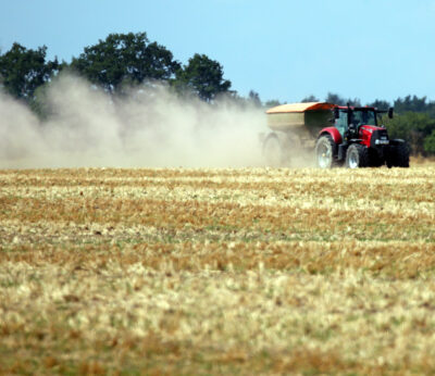 Economía.- La Eurocámara pide mayor protección para las indicaciones geográficas y propone acortar plazos
