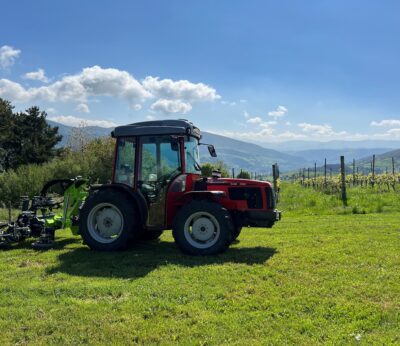 Economía.- Auditores de la UE advierten de disparidades entre países y sectores en las ayudas agrícolas durante el Covid