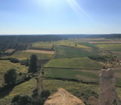 Economía.- UPA lanza un plan para acercar las ayudas del programa Kit Digital a los pequeños agricultores y ganaderos