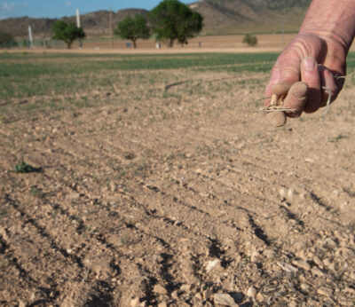 Economía.- El Gobierno rebaja el 25% en el IRPF para ayudar a 800.000 agricultores y ganaderos por la sequía
