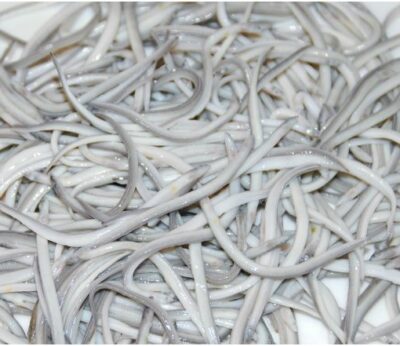 Economía.-Gobierno vasco destaca que el acuerdo con los anguleros permite mantener la actividad y una gestión sostenible