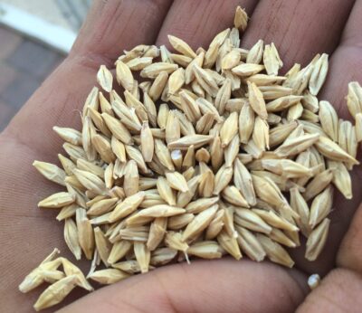 Economía.- La Eurocámara respalda la prórroga de las exenciones arancelarias a Ucrania hasta junio de 2024