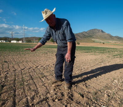 Economía.- El PP plantea nuevas ayudas a explotaciones agrarias en crisis y un IVA reducido cuando no sean rentables