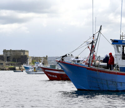 Economía.- La Eurocámara pide normas comunes de gestión de pesca y más contribución del sector en su aplicación