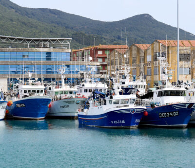 Economía.- La patronal gallega constituye una comisión mar-industria que muestra su «apoyo unánime» a la pesca de fondo