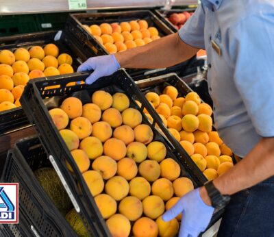 Economía.- Aldi prevé comprar 7.100 toneladas, un 9% más de fruta de hueso a proveedores nacionales esta temporada