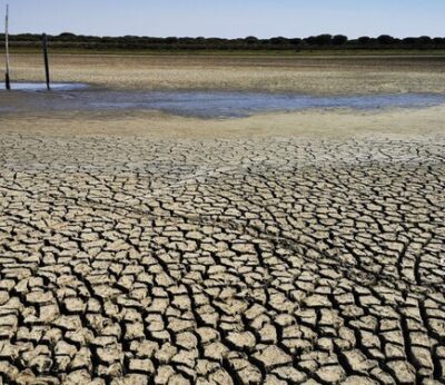 Economía.- Cooperativas Agro-alimentarias ve que la sequía requiere más medidas para preservar la actividad del sector