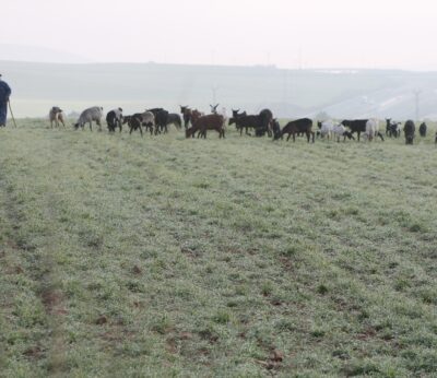 Economía.- ‘SOS Rural’ se manifiesta el domingo para exigir la defensa territorio rural y del sector primario