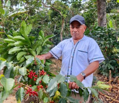 Economía.- La UE limita las importaciones de productos como café, madera o soja si contribuyen a la deforestación