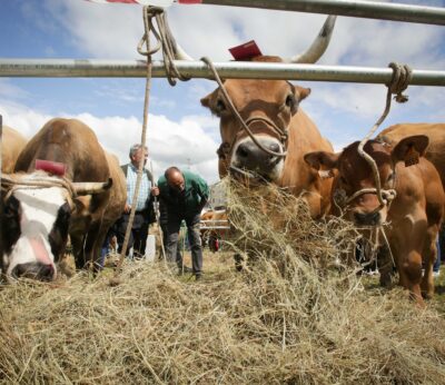 Economía.- El Gobierno contribuye con más de 170.000 euros a seis organismos agrícolas, ganaderos y pesqueros