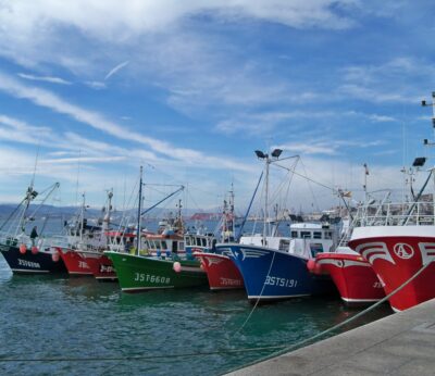 Economía/Pesca.- La Xunta pide «claridad» a la Comisión Europea por su plan de veto de la pesca de arrastre