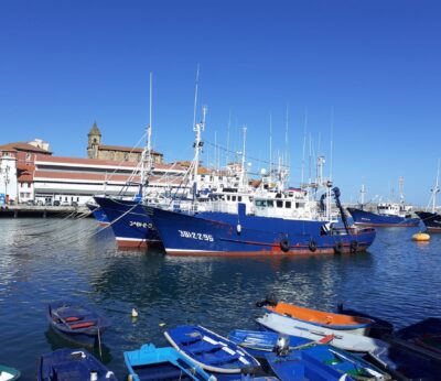 Economía/Pesca.- Agricultura convoca subvenciones por 550.000 euros para asociaciones del sector pesquero y acuicultura