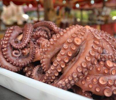 Economía/Pesca.- La veda del pulpo arranca este viernes y se extenderá hasta el 3 de julio