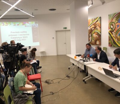 Economía/Agricultura.- Afrucat ve «incertidumbre» en la producción de fruta de hueso de esta campaña