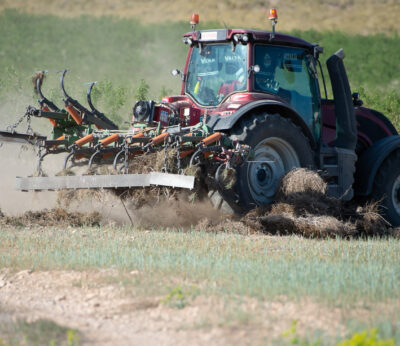Economía.- La cosecha de cereales caerá un 48,5% por la sequía, según previsiones de Cooperativas Agro-alimentarias