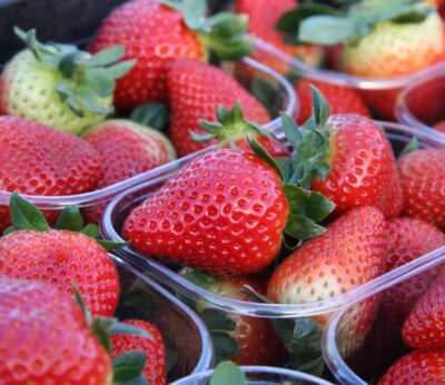 Economía.-(AMP) Interfresa pide «responsabilidad y conocimiento técnico» ante el «insidioso» boicot a frutos rojos