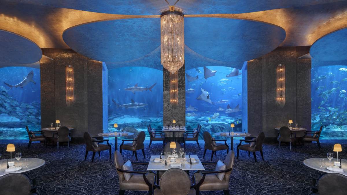 Eating surrounded by sharks: eight undersea restaurants in pictures