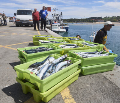 Economía.- Bruselas prevé pasar en 2024 a cuotas pesqueras bienales para poblaciones exclusivas UE, como pide España