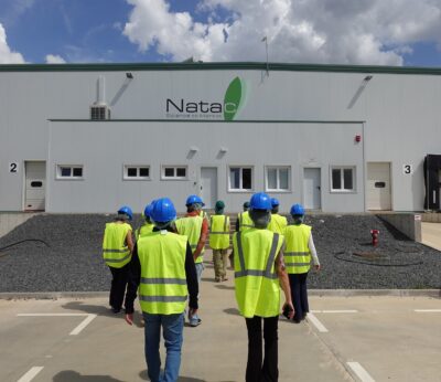 Economía.- La Torta del Casar se integra en un proyecto europeo para aprovechar los desechos de su cardo coagulante