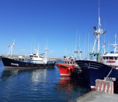 Economía-Gobierno resalta la importancia de los acuerdos de pesca sostenible entre UE y África para regular la actividad