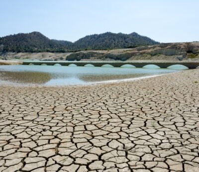 Economía.- España recibirá este martes los 81 millones de la reserva agrícola de la UE por la sequía