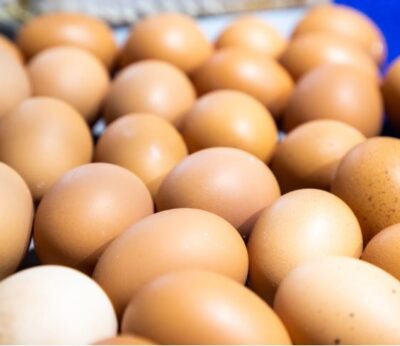 Economía.- Agricultura adjudica a Inprovo el servicio para obtener información sobre los precios de los huevos