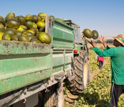 Economía.- UPA denuncia distorsiones en los mercados de fruta que ponen en peligro la supervivencia de agricultores