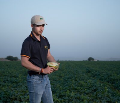 Economía.- Productores de melón y sandía de La Mancha esperan buena campaña, «con buen precio y calidad extraordinaria»