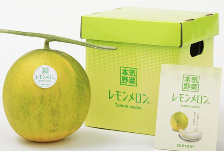 El ‘melón limón’ es la nueva fruta de lujo japonesa