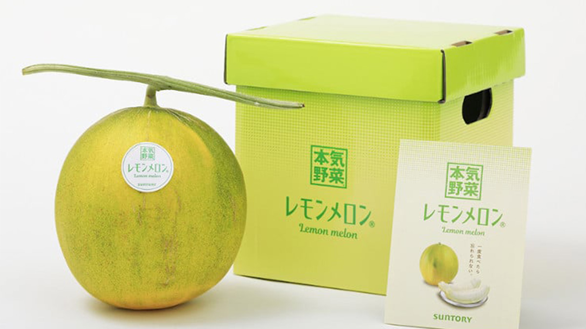 Lemon melon’ is Japan’s new luxury fruit