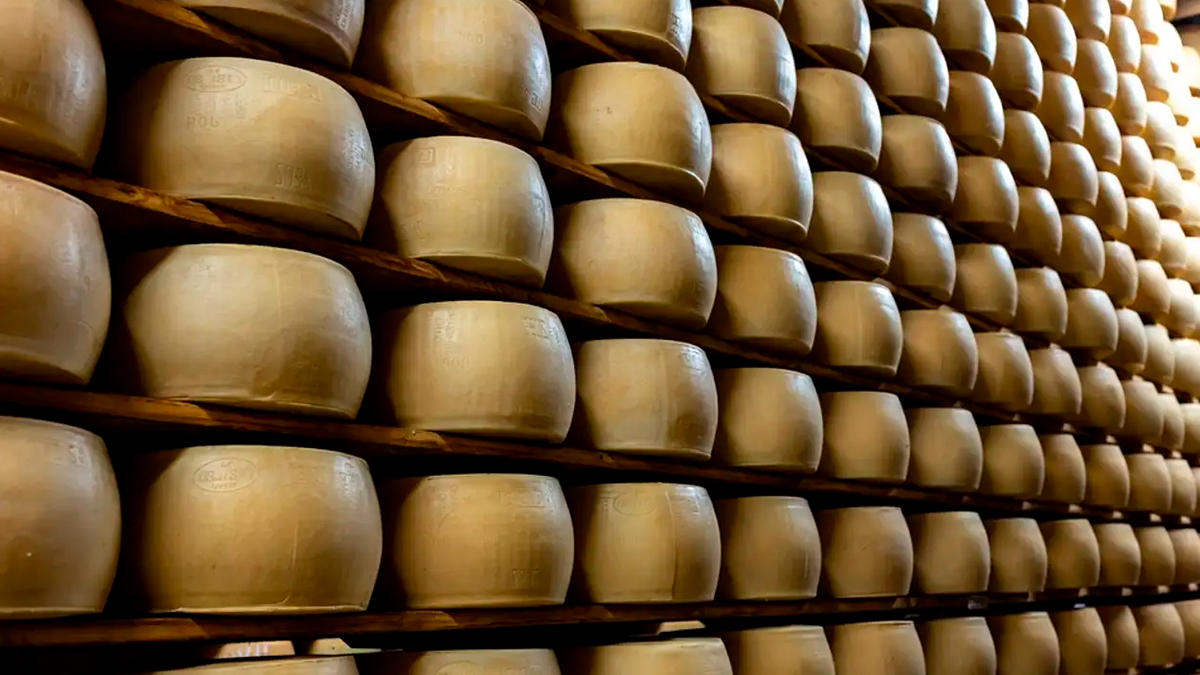 Why is Parmigiano Reggiano putting microchips into its cheeses?