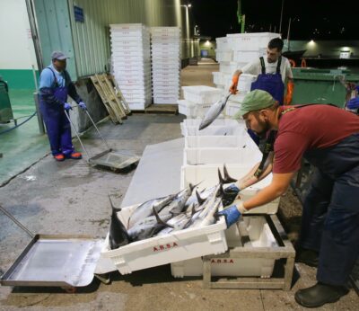 Economía.- El Consorcio para Innovación Pesquera se suma a un proyecto para transformar la cadena de valor del pescado