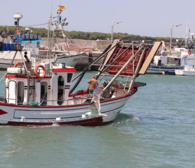 Economía/Pesca.- Andalucía resuelve las primeras líneas de ayudas a la pesca por la guerra de Ucrania