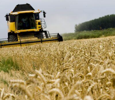 Economía.- Las ayudas directas de la PAC a agricultores y ganaderos para la campaña 2023 ascienden a 4.875 millones
