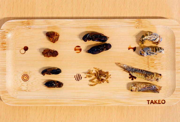 Este restaurante de insectos de Tokio introduce en su menú la sidra de bicho de agua