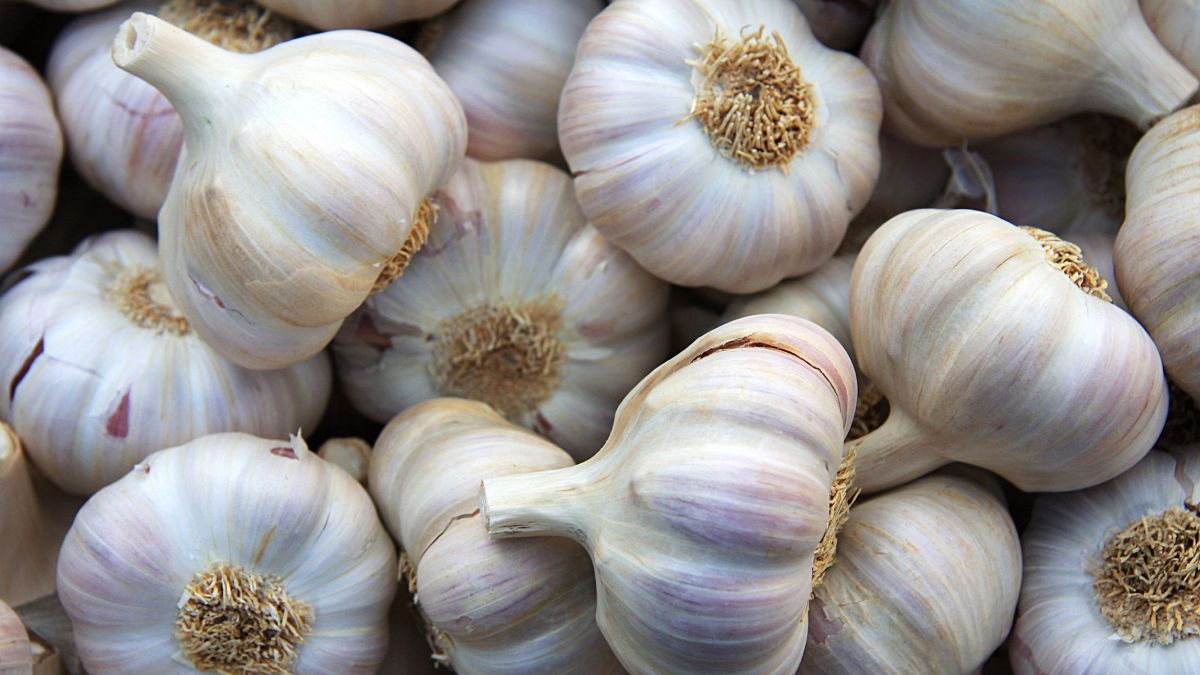This is the food that prevents garlic breath, according to science
