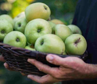Economía.- Lidl prevé adquirir 34.000 toneladas de manzanas y peras españolas en 2023, un 35% más que hace cuatro años