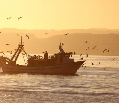 Economía/Pesca.- Agricultura refuerza el acceso al crédito de los sectores pesquero y acuícola