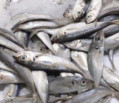 Economía.- Directores generales de Pesca de la UE analizan el papel de productos pesqueros en abastecimiento alimentario