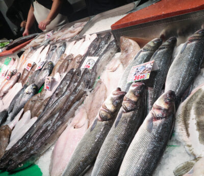 Economía.- Reivindican actividades pesquera y acuícola «claves» para garantizar autonomía estratégica alimentaria en UE