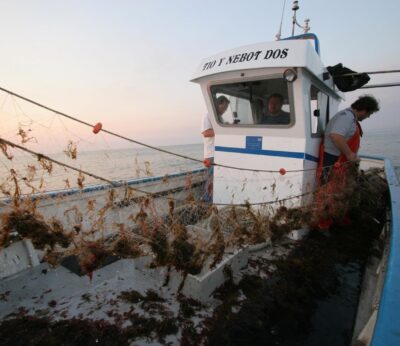 Economía/Pesca.- El Gobierno pone en marcha el mecanismo de optimización de la pesca de patudo en el Atlántico