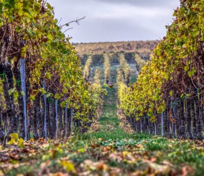 Economía.- Unión de Uniones reclama coherencia y reciprocidad en la última fase de negociación del acuerdo UE-Mercosur