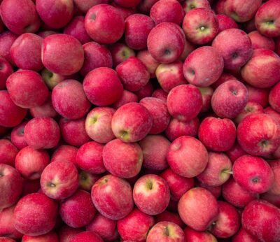 Economía.- Productores de manzanas prevén una cosecha récord de 15.000 toneladas de la variedad ‘Pink Lady’ en España