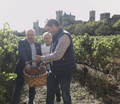 Economía.- La vendimia de 2023 finaliza en Navarra con la recogida de 56 millones de kilos de uva, 4 millones menos