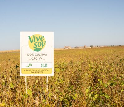 Economía.- Pascual compra un 25% más de cultivos nacionales para su marca de bebidas vegetales Vivesoy en 2022