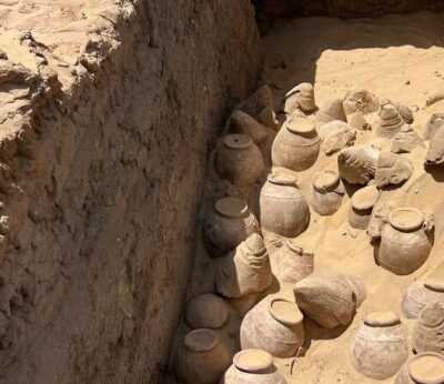Descubren vino de 5.000 años de antigüedad en la tumba de una reina egipcia